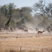 01kruger_np030