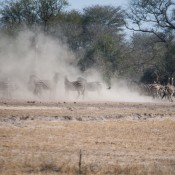 01kruger_np031