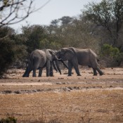 01kruger_np036