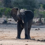 01kruger_np039