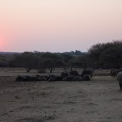 01kruger_np047