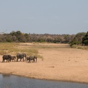 01kruger_np059