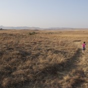 02northern_drakensberg005