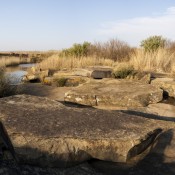 02northern_drakensberg006