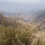 02northern_drakensberg035