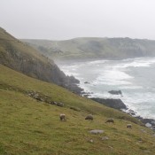 03coffee_bay017