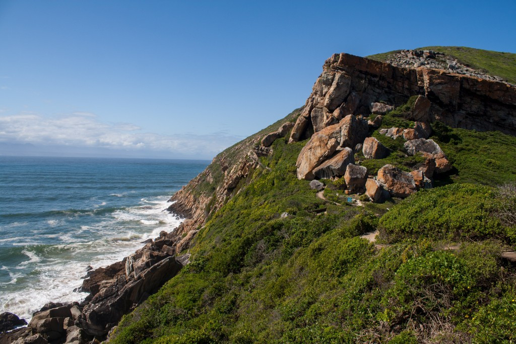 05plett003