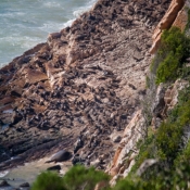 05plett005