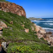 05plett020