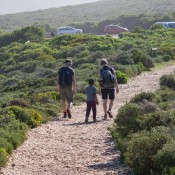 05plett023