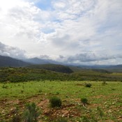 07oudtshoorn001