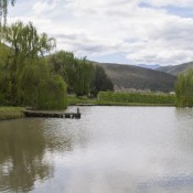 07oudtshoorn022