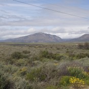 07oudtshoorn026