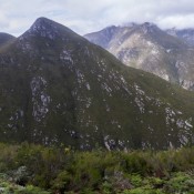 07oudtshoorn028
