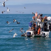 10hermanus004