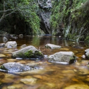 11to_montagu003