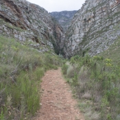 11to_montagu006