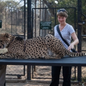 01kruger_np002