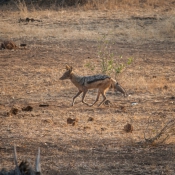 01kruger_np018