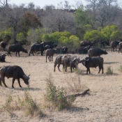 01kruger_np027