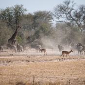 01kruger_np030