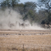 01kruger_np031