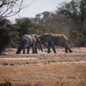 01kruger_np036