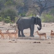 01kruger_np038