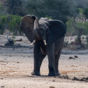 01kruger_np039