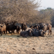 01kruger_np042
