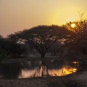 01kruger_np044