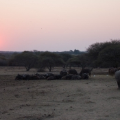 01kruger_np047
