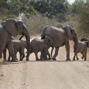 01kruger_np055