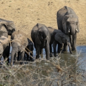 01kruger_np057