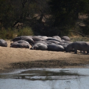 01kruger_np058