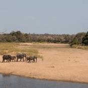 01kruger_np059