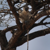 01kruger_np060