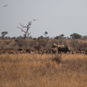01kruger_np064
