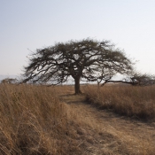 02northern_drakensberg004