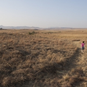 02northern_drakensberg005