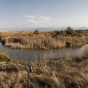 02northern_drakensberg007