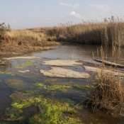 02northern_drakensberg008