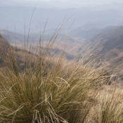 02northern_drakensberg035