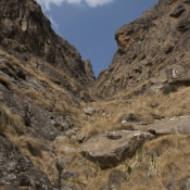 02northern_drakensberg036