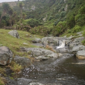 03coffee_bay015