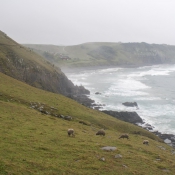 03coffee_bay017