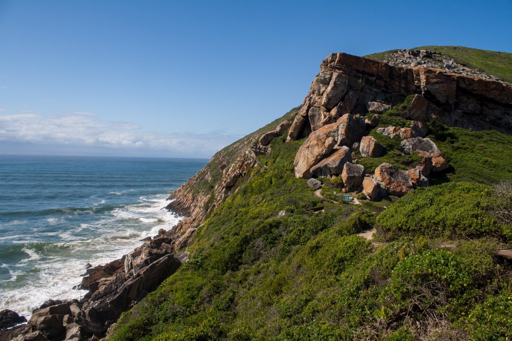 05plett003