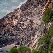 05plett005