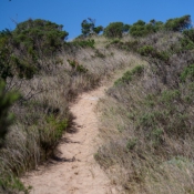 05plett010