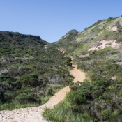 05plett012